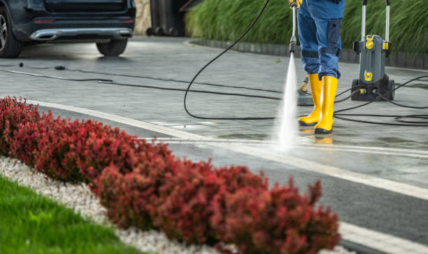 Best Fence Cleaning  in Warren, MN